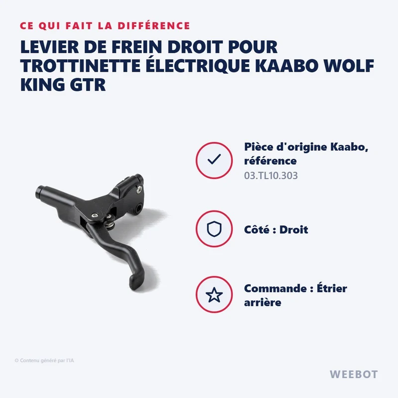 Levier de Frein Droit pour Trottinette Électrique Kaabo Wolf King GTR