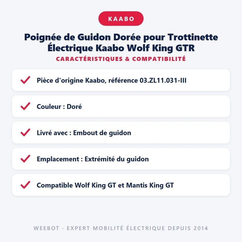 Poignée de Guidon Dorée pour Trottinette Électrique Kaabo Wolf King GTR
