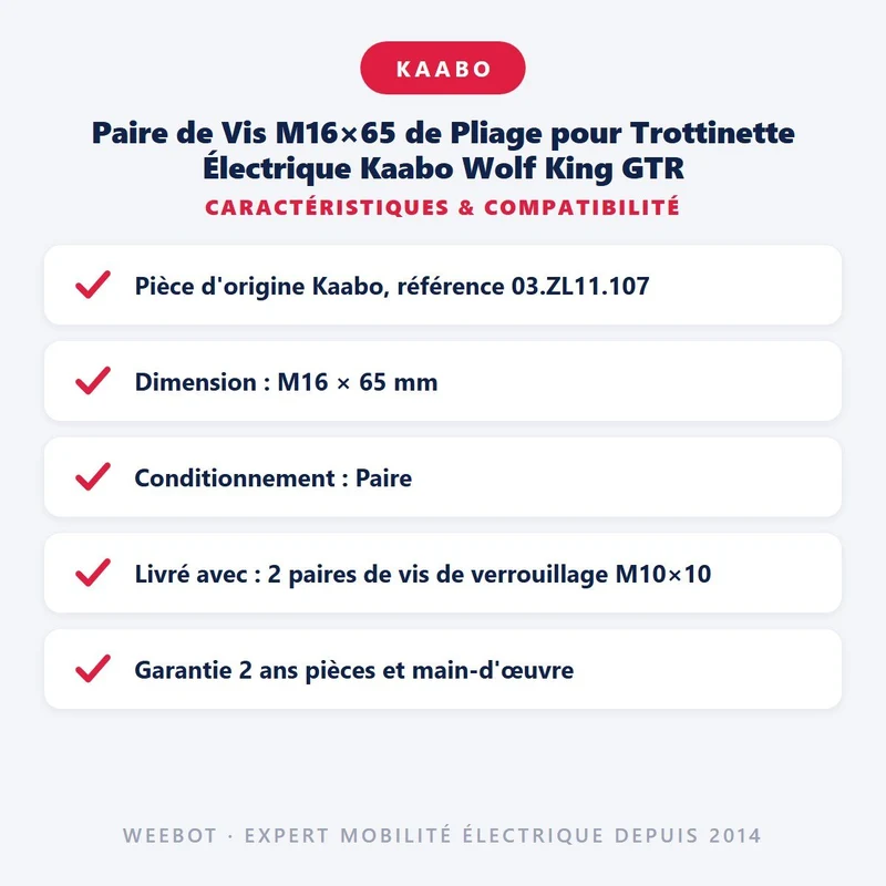 Paire de Vis M16×65 de Pliage pour Trottinette Électrique Kaabo Wolf King GTR