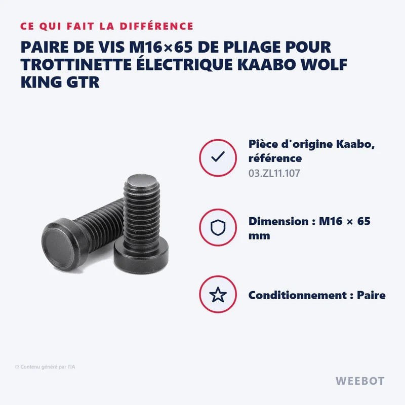 Paire de Vis M16×65 de Pliage pour Trottinette Électrique Kaabo Wolf King GTR