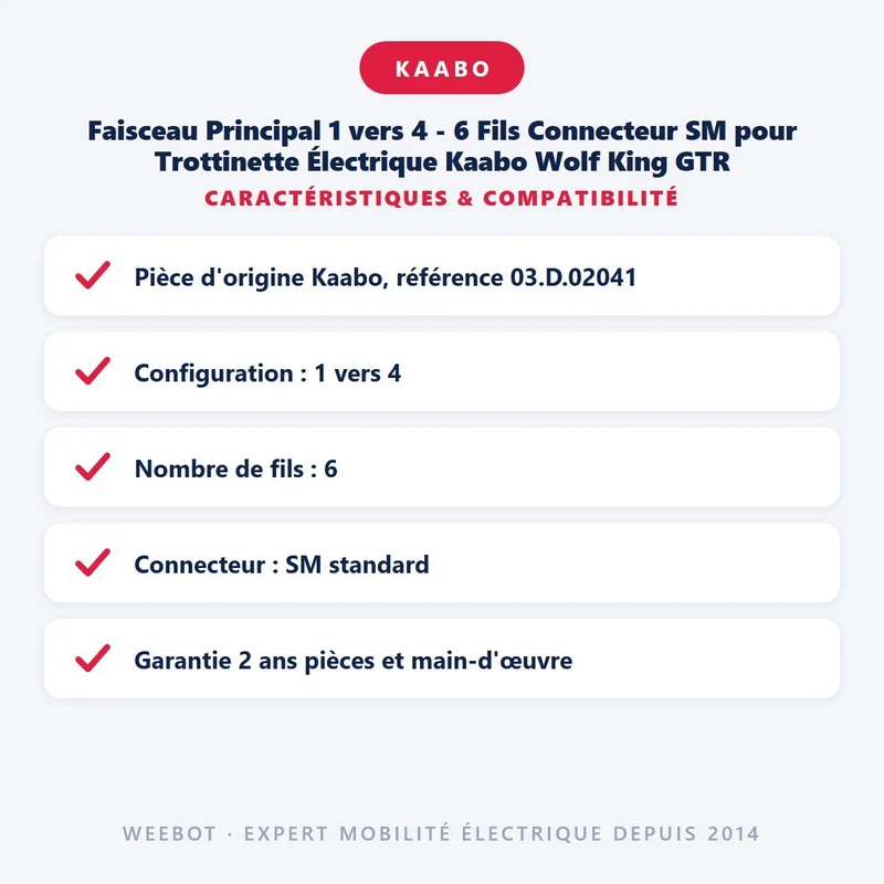 Faisceau Principal 1 vers 4 - 6 Fils Connecteur SM pour Trottinette Électrique Kaabo Wolf King GTR