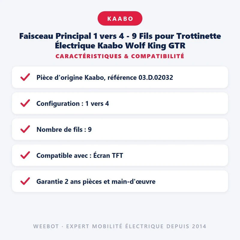 Faisceau Principal 1 vers 4 - 9 Fils pour Trottinette Électrique Kaabo Wolf King GTR