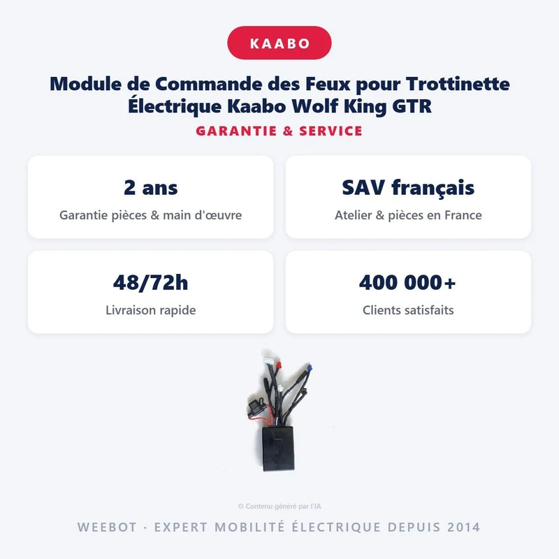 Module de Commande des Feux pour Trottinette Électrique Kaabo Wolf King GTR