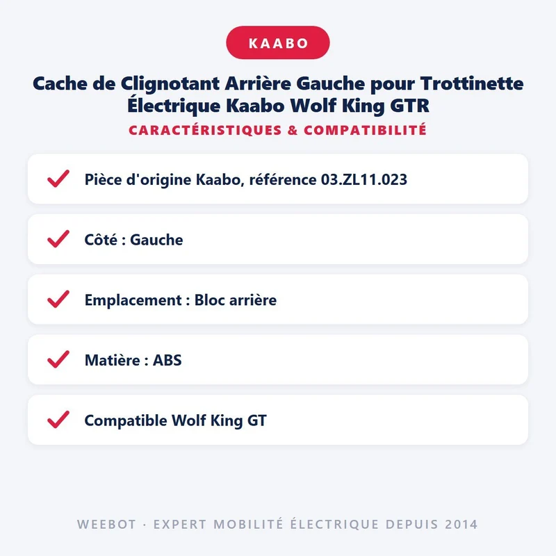 Cache de Clignotant Arrière Gauche pour Trottinette Électrique Kaabo Wolf King GTR