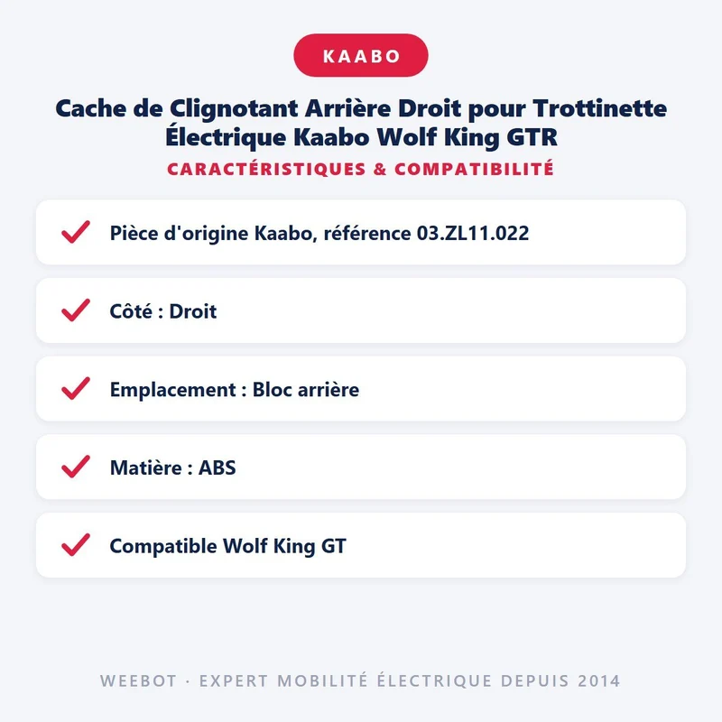Cache de Clignotant Arrière Droit pour Trottinette Électrique Kaabo Wolf King GTR