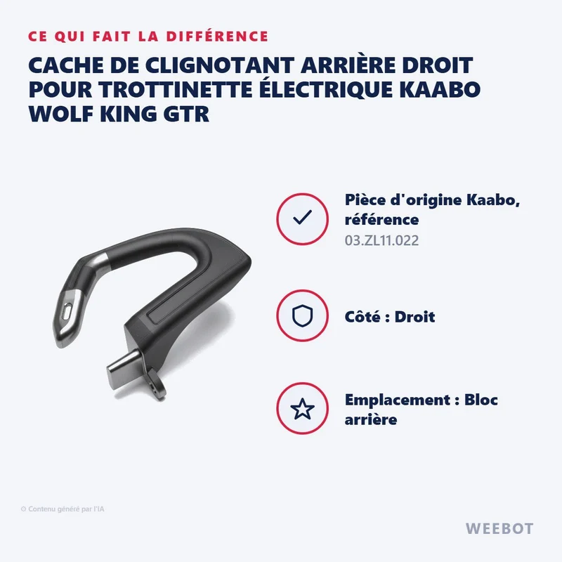 Cache de Clignotant Arrière Droit pour Trottinette Électrique Kaabo Wolf King GTR