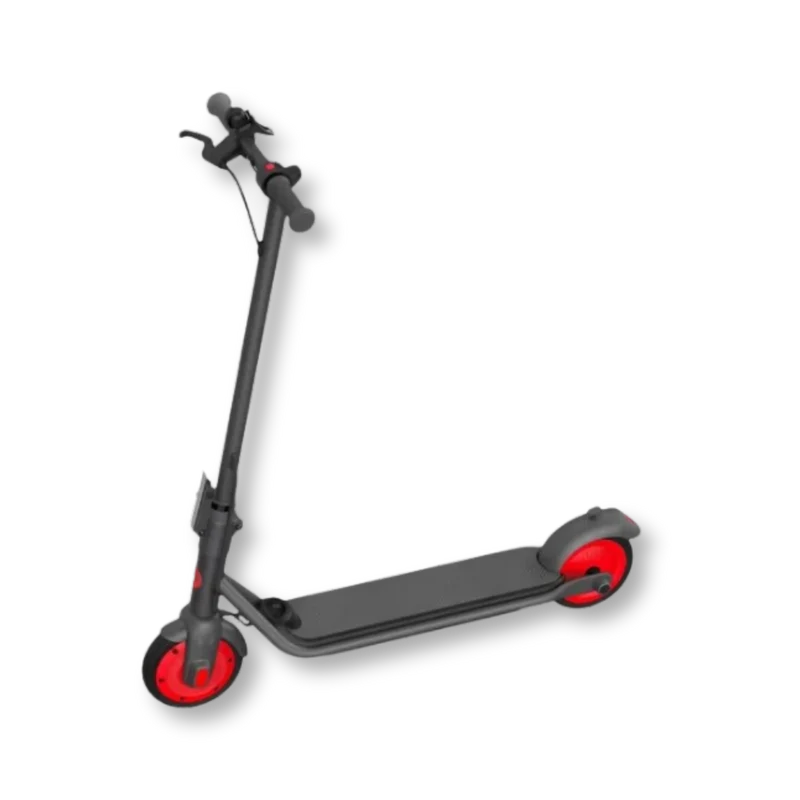 Ninebot Zing C20