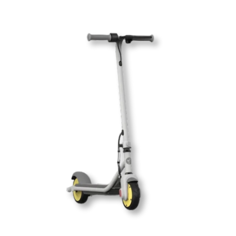 Ninebot Zing C10
