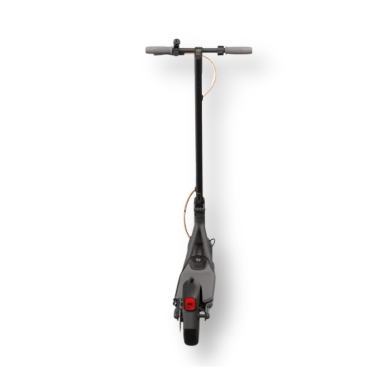 Ninebot F30 D (Allemande - 20km/h)