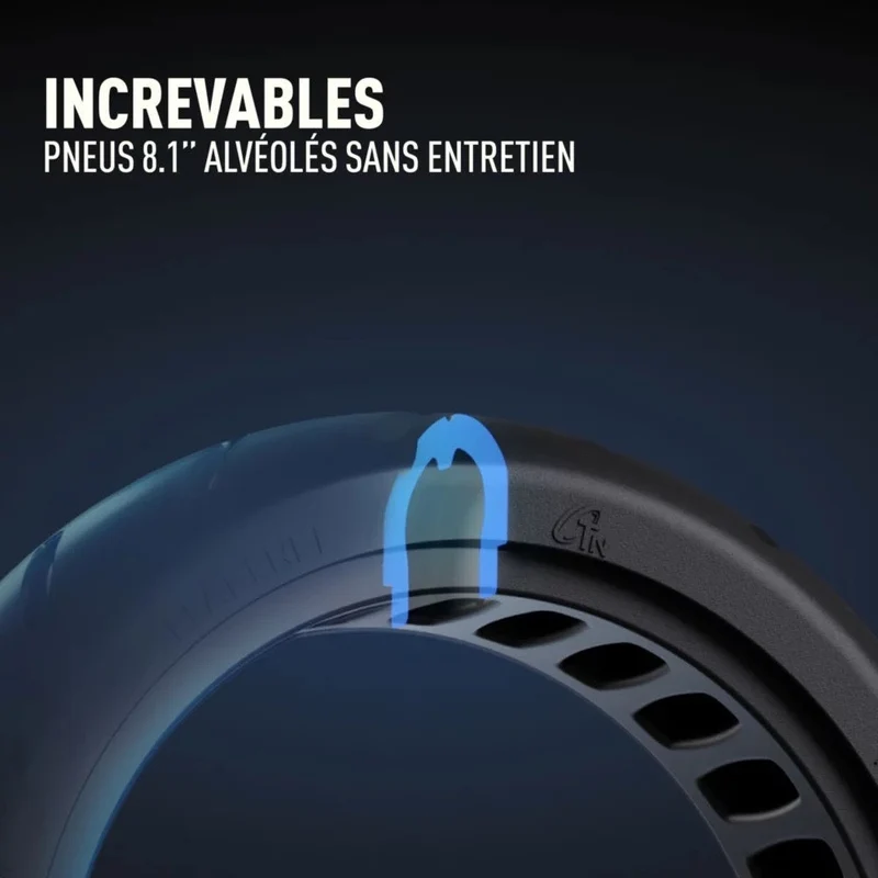 Ninebot E2 E