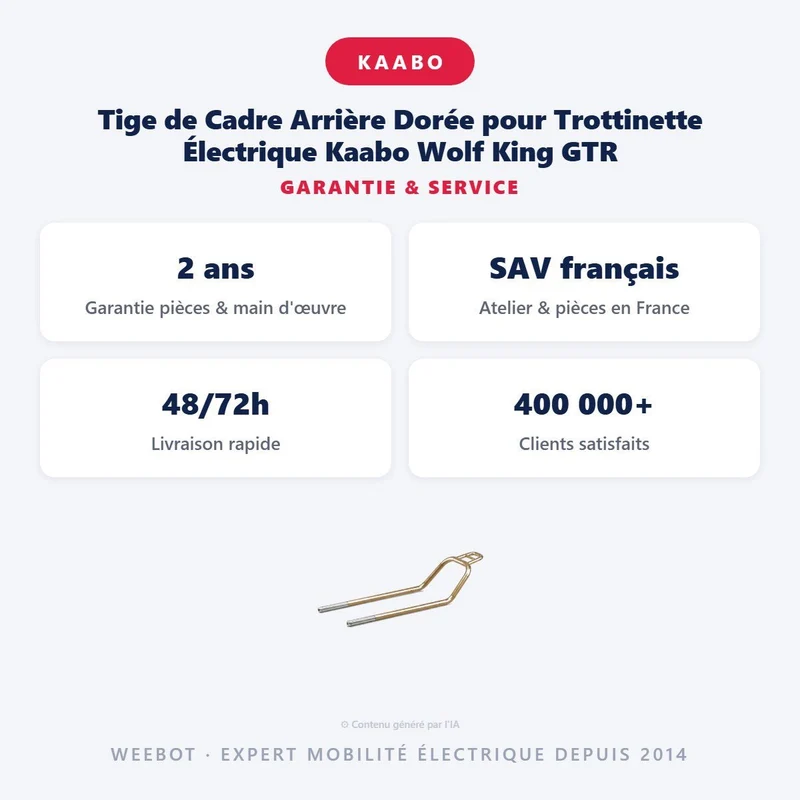 Tige de Cadre Arrière Dorée pour Trottinette Électrique Kaabo Wolf King GTR