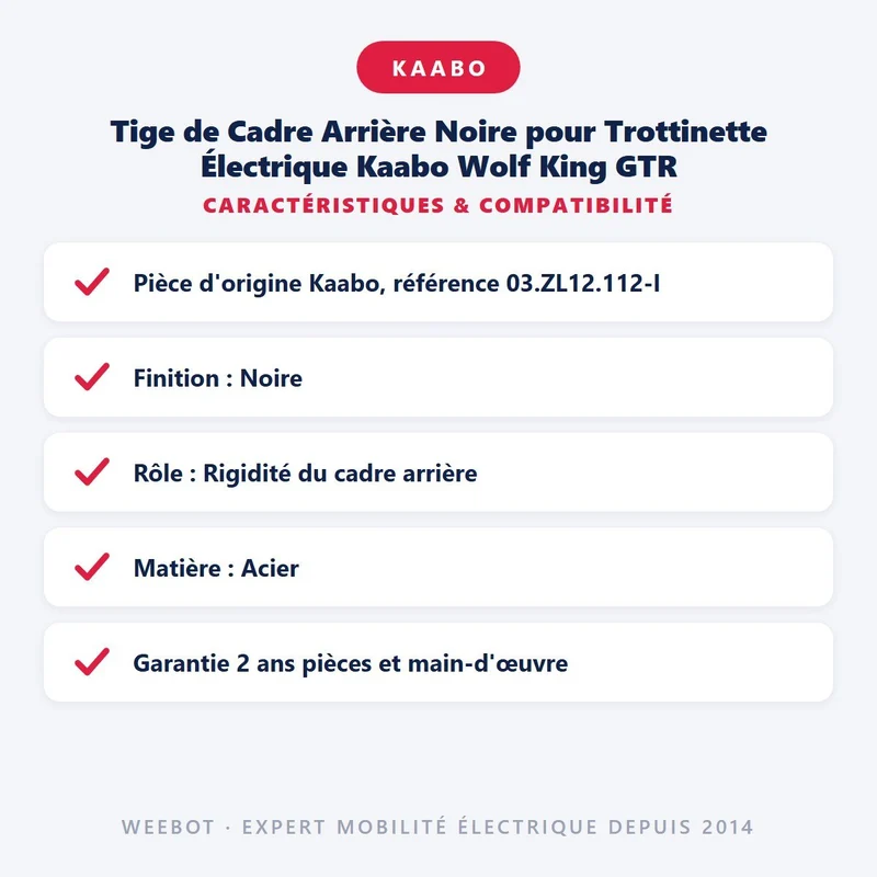 Tige de Cadre Arrière Noire pour Trottinette Électrique Kaabo Wolf King GTR