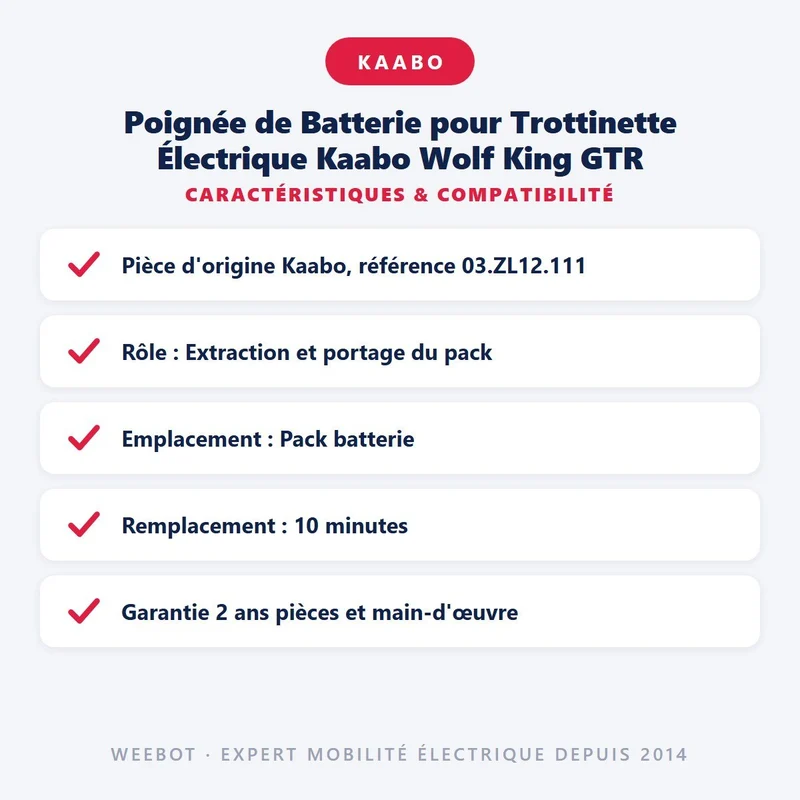 Poignée de Batterie pour Trottinette Électrique Kaabo Wolf King GTR