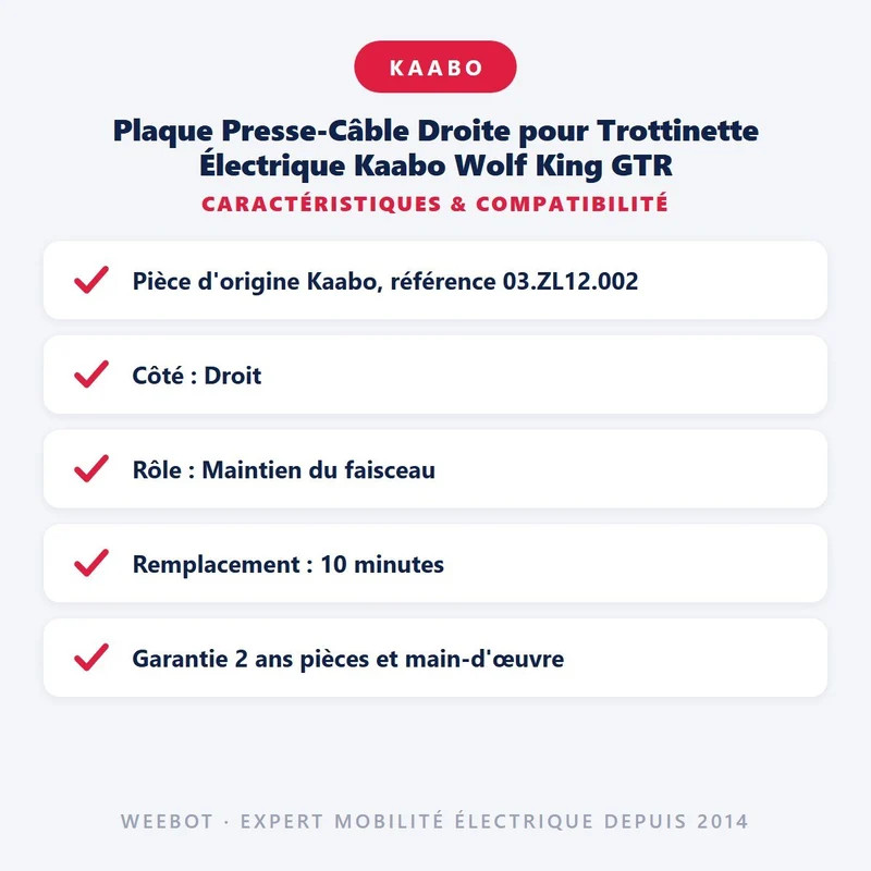 Plaque Presse-Câble Droite pour Trottinette Électrique Kaabo Wolf King GTR
