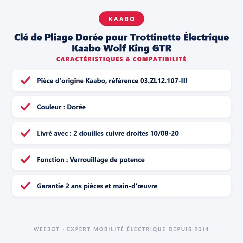 Clé de Pliage Dorée pour Trottinette Électrique Kaabo Wolf King GTR