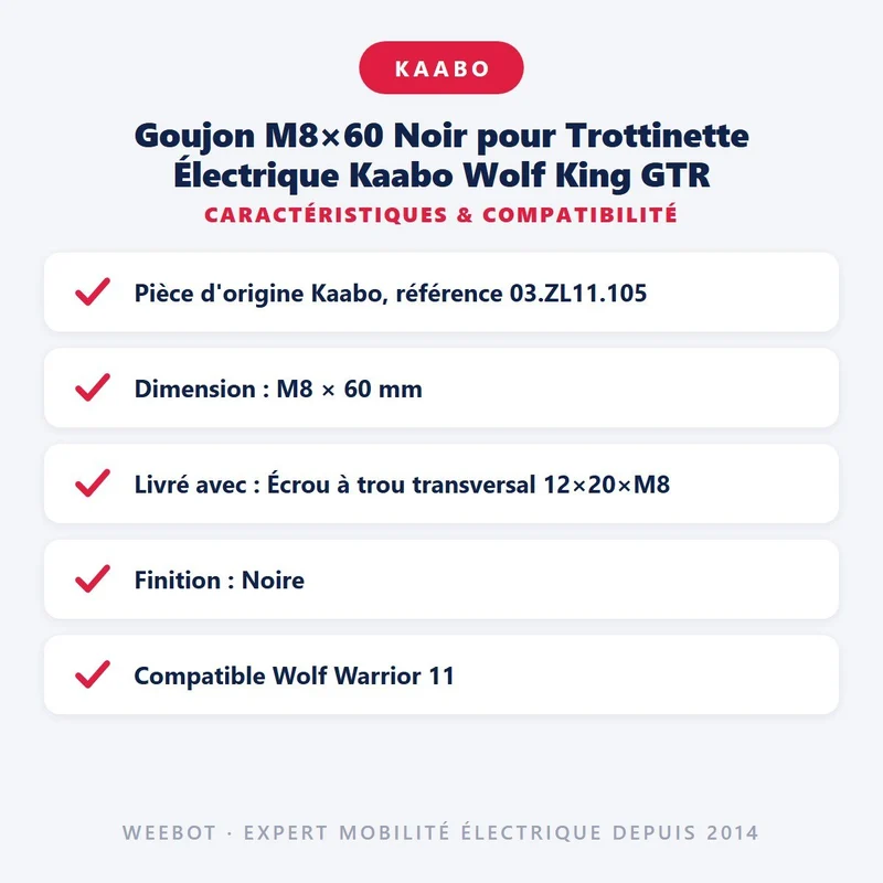 Goujon M8×60 Noir pour Trottinette Électrique Kaabo Wolf King GTR
