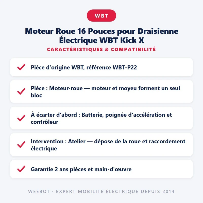 Moteur Roue 16 Pouces pour Draisienne Électrique WBT Kick X