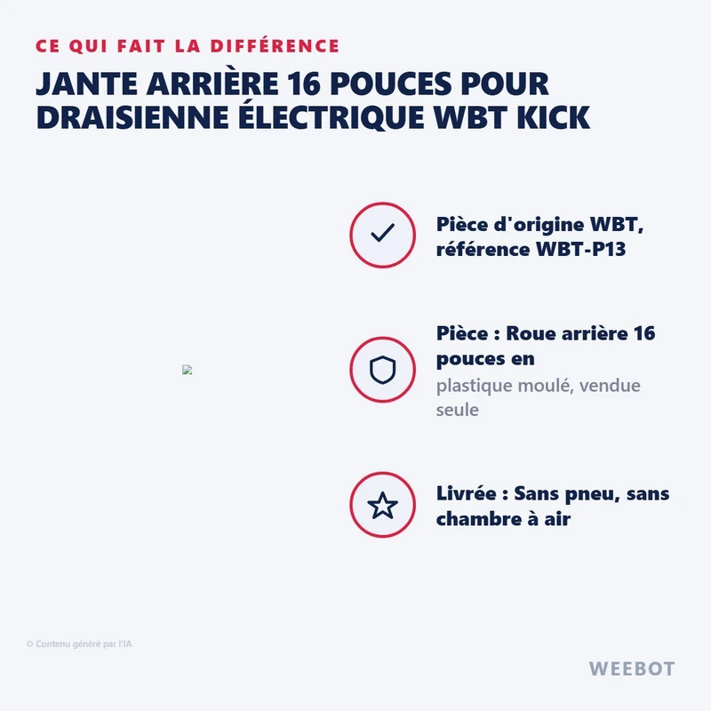 Jante Arrière 16 Pouces pour Draisienne Électrique WBT Kick