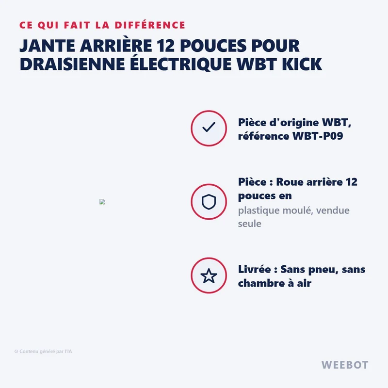 Jante Arrière 12 Pouces pour Draisienne Électrique WBT Kick