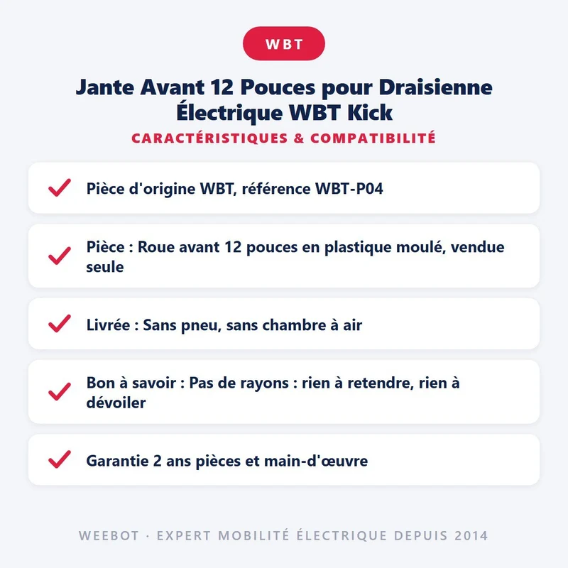Jante Avant 12 Pouces pour Draisienne Électrique WBT Kick