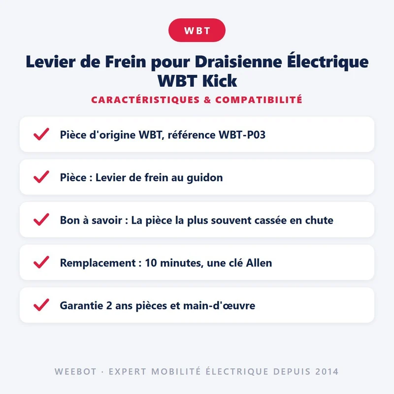 Levier de Frein pour Draisienne Électrique WBT Kick
