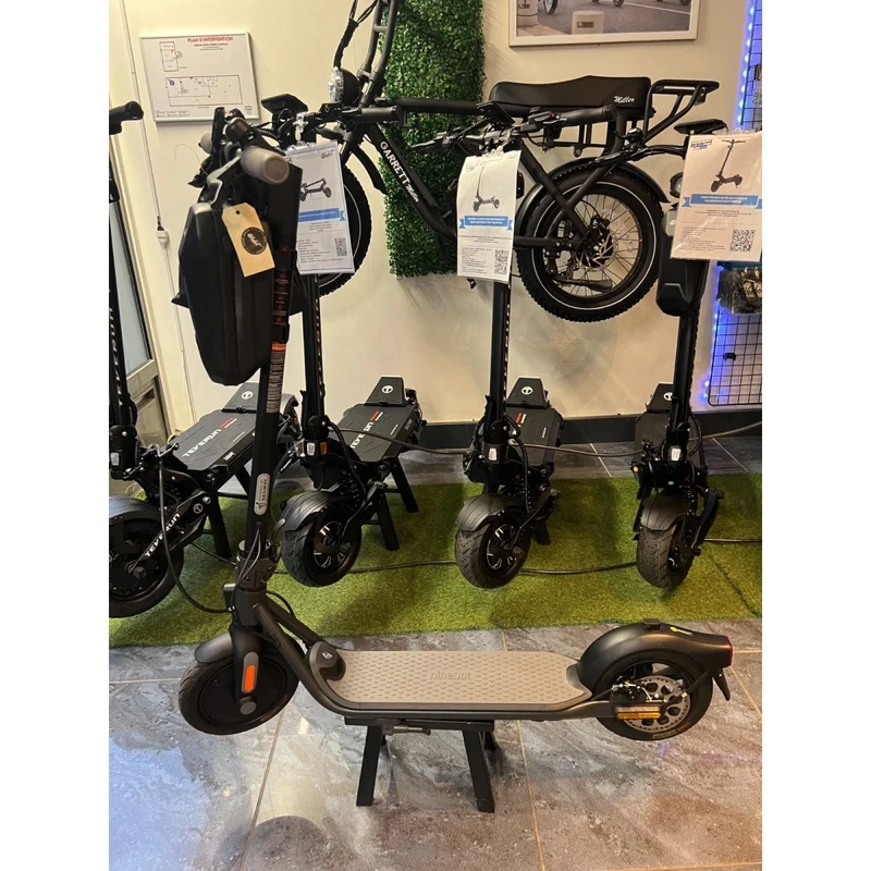 Trottinette Électrique Occasion F25E Ninebot by Segway : Reconditionnée
