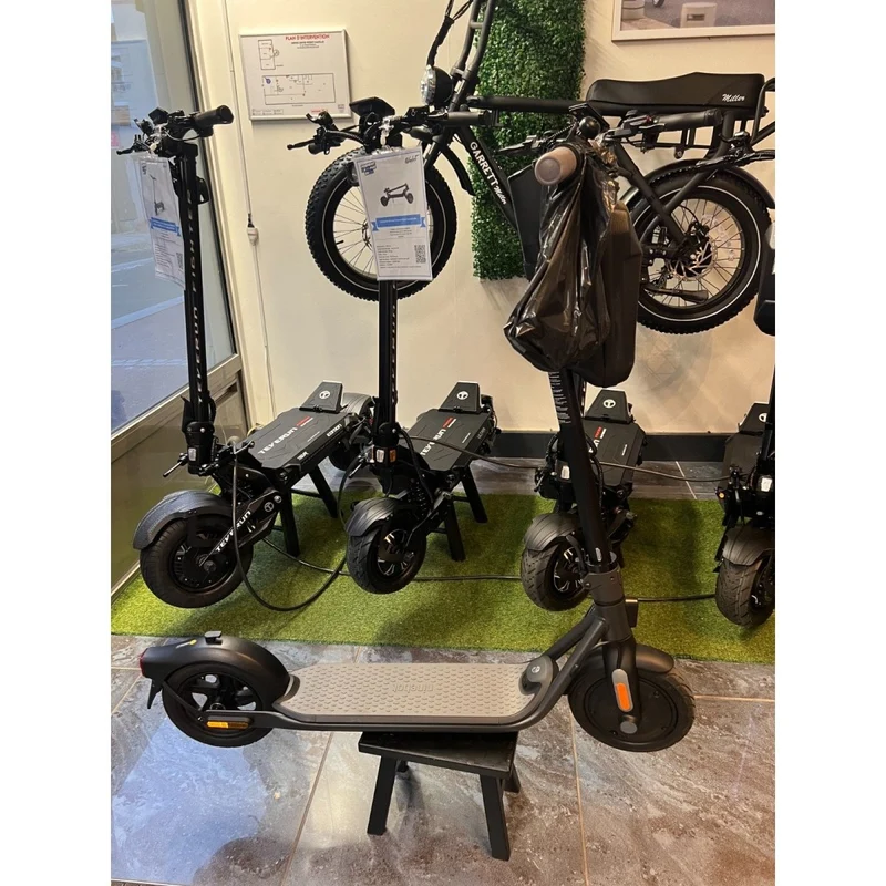 Trottinette Électrique Occasion F25E Ninebot by Segway : Reconditionnée