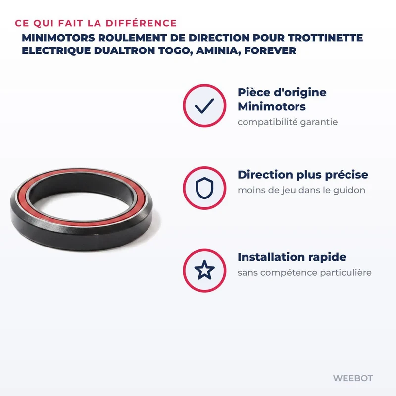 Roulement de Direction pour Trottinette Electrique Dualtron Togo, Aminia, Forever