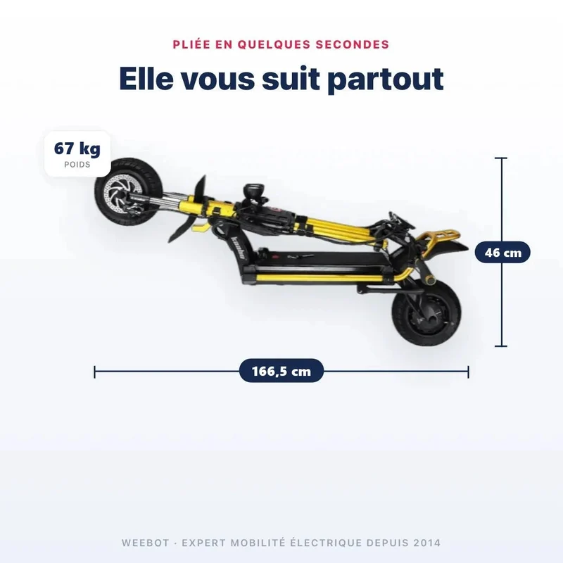 Trottinette Électrique Wolf Warrior King GTR MAX Kaabo