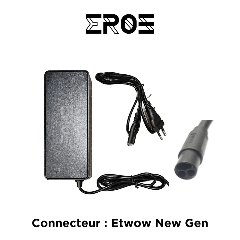 Chargeur Standard Universel de Trottinette Électrique pour Batterie 84V