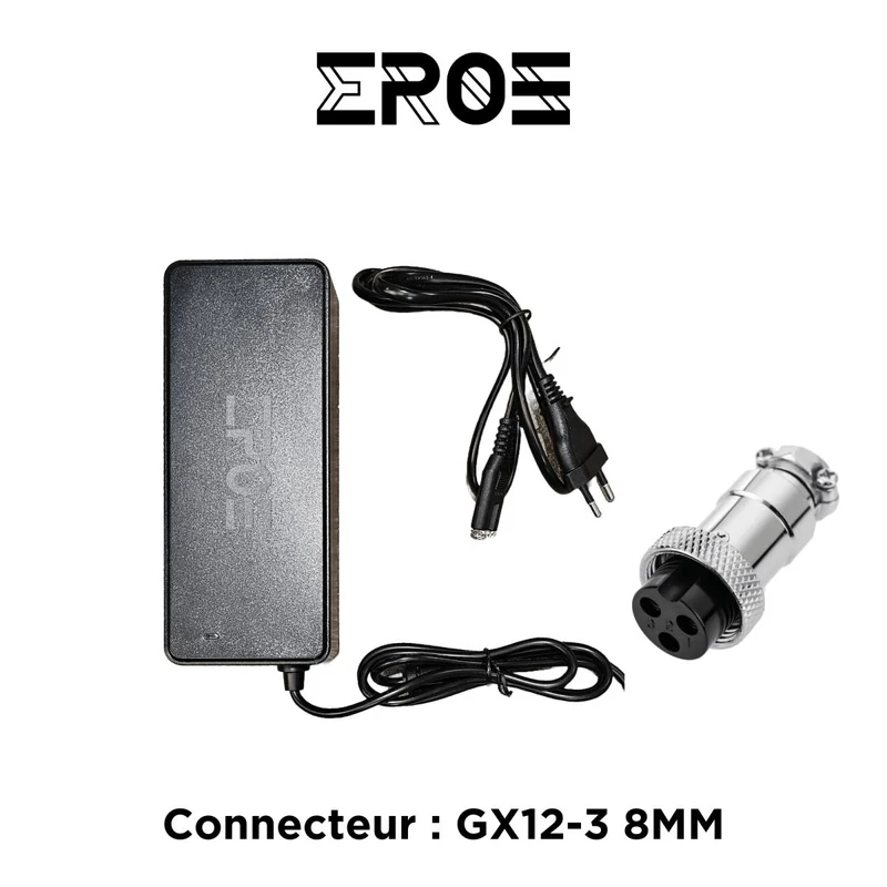 Chargeur Standard Universel de Trottinette Électrique pour Batterie 84V