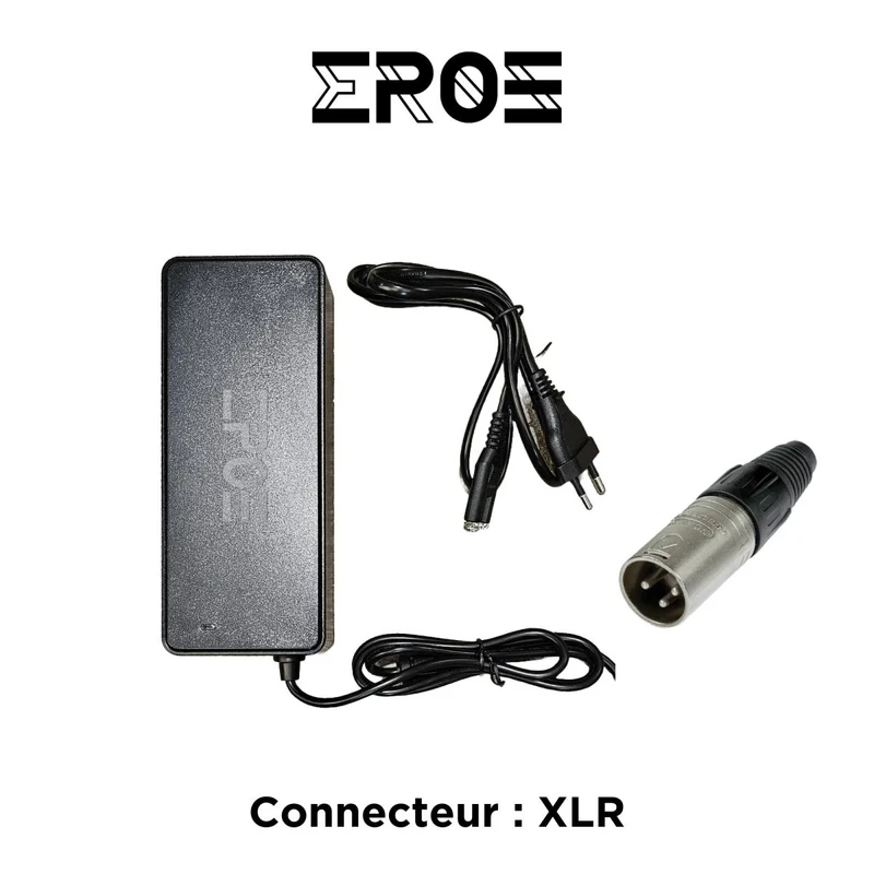 Chargeur Standard Universel de Trottinette Électrique pour Batterie 84V