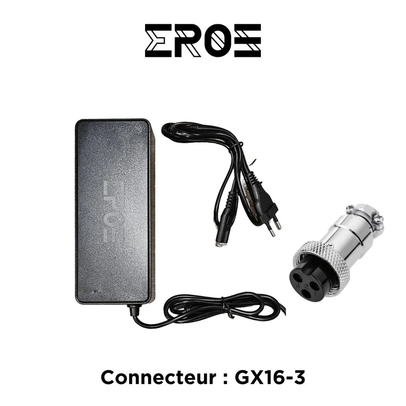 Chargeur Standard Universel de Trottinette Électrique pour Batterie 72V