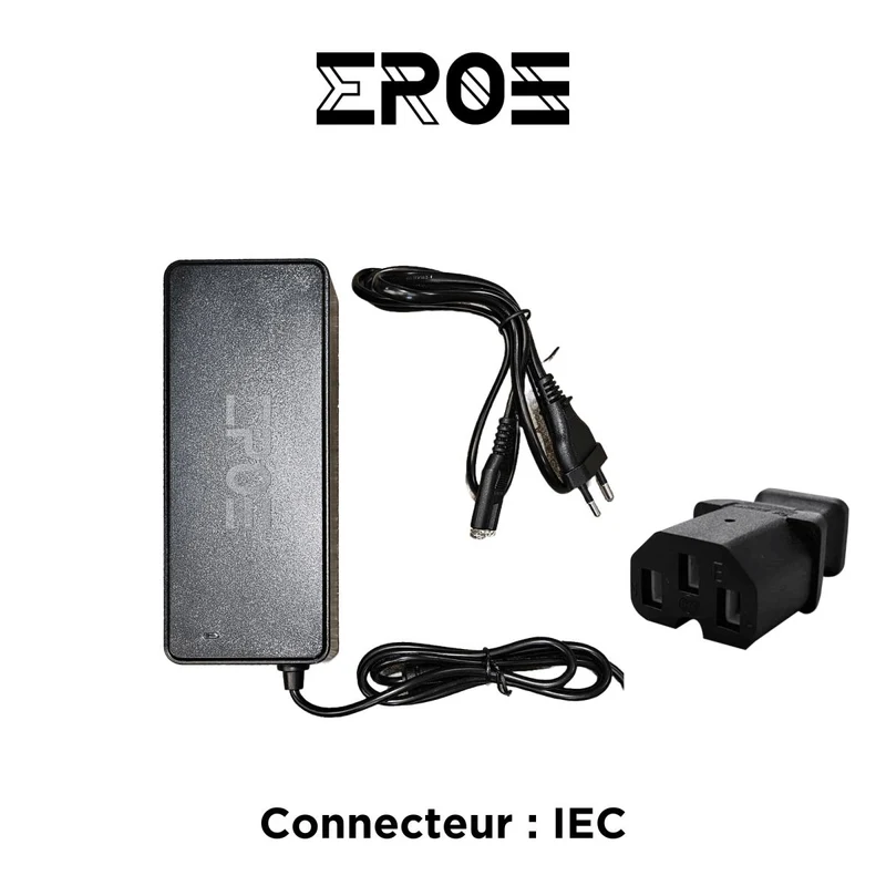 Chargeur Standard Universel de Trottinette Électrique pour Batterie 72V