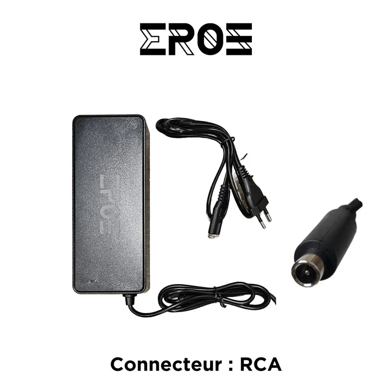 Chargeur Standard Universel de Trottinette Électrique pour Batterie 52V