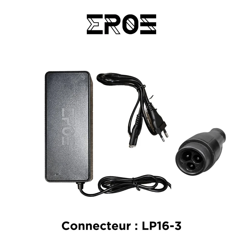 Chargeur Standard Universel de Trottinette Électrique pour Batterie 48V