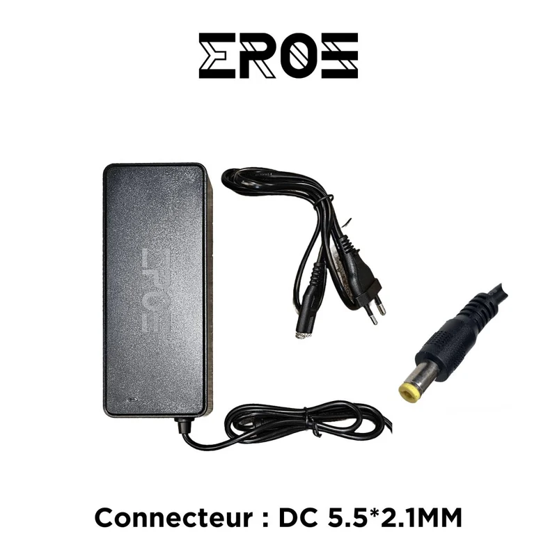 Chargeur Standard Universel de Trottinette Électrique pour Batterie 48V
