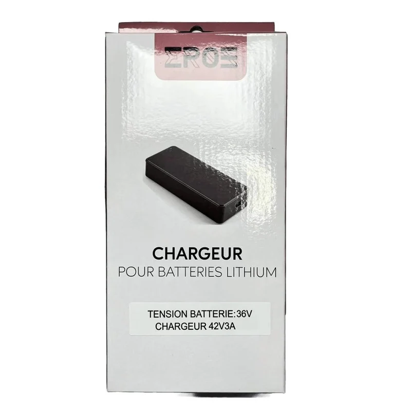Chargeur Standard Universel de Trottinette Électrique pour Batterie 36V