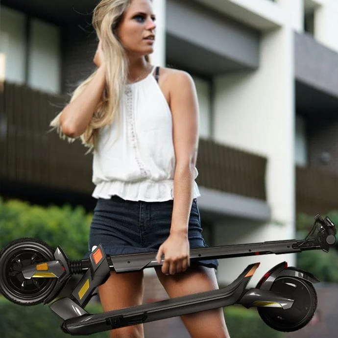 Trottinette Électrique Dualtron Dolphin