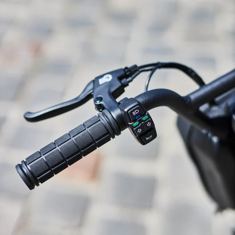 Trottinette Électrique Dualtron Togo Limited