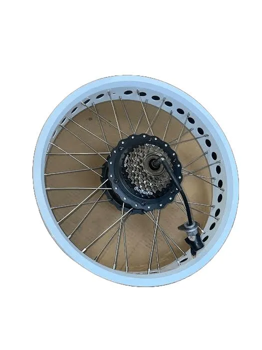 Jante Arrière Complète (Jante, Moteur 250W, Rayons) pour Vélo Électrique Garrett Miller Z, X et CIty