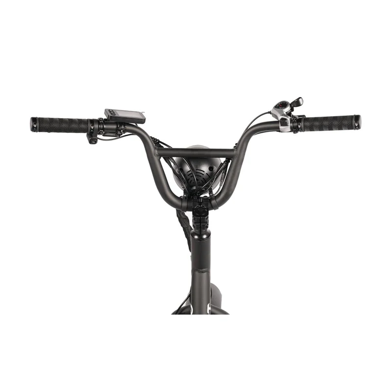 Fatbike Électrique Biplace Cargo Garrett Miller Urban