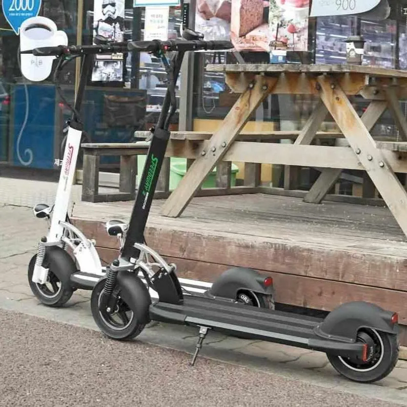 Trottinette Électrique Speedway 4