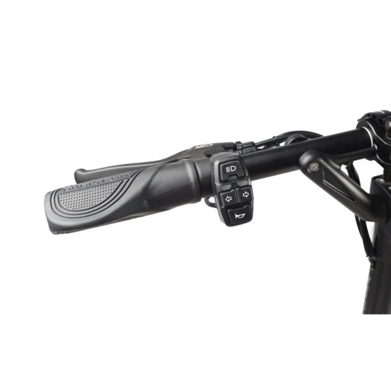 Trottinette Électrique Dualtron Aminia