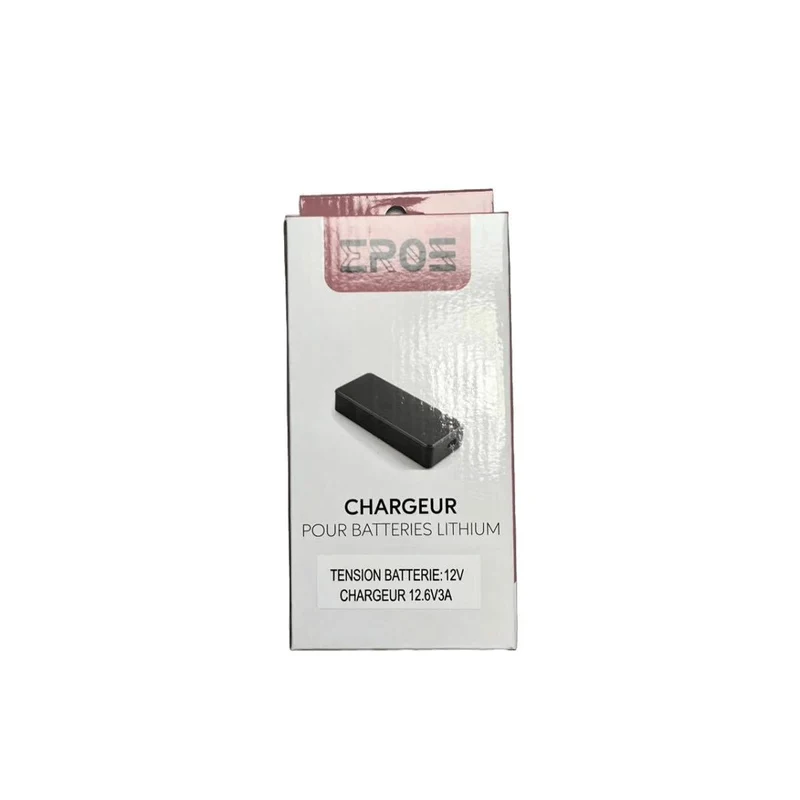 Chargeur Standard pour Batterie 12V de Potence Trottinette Électrique Dualtron
