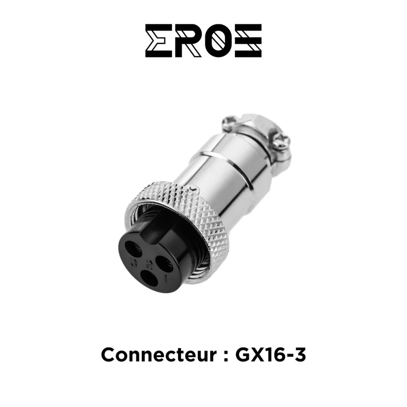 Chargeur Standard pour Batterie 12V de Potence Trottinette Électrique Dualtron