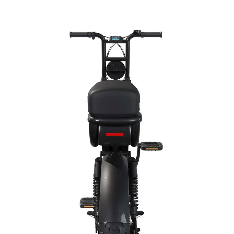 Fatbike Électrique Biplace Cargo Garrett Miller City