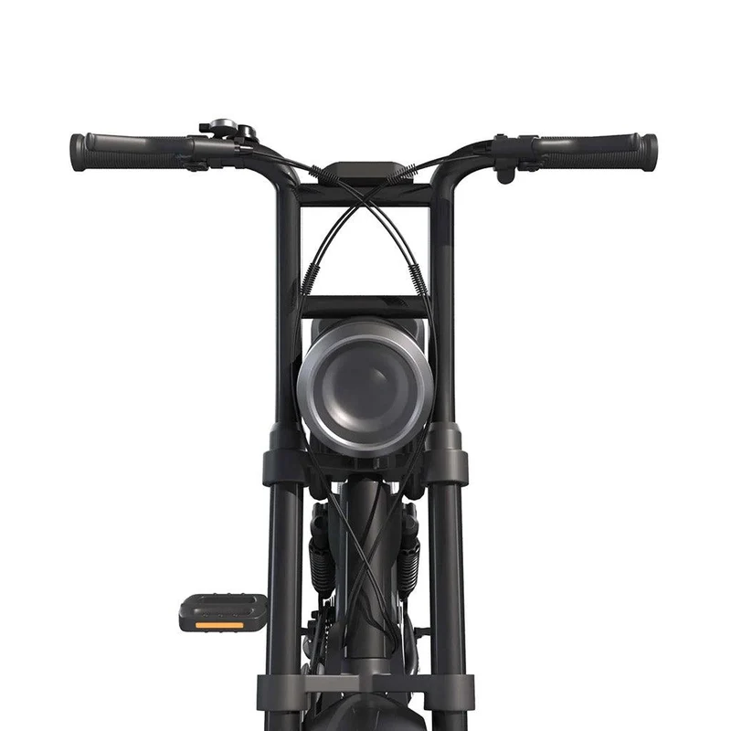 Fatbike Électrique Biplace Cargo Garrett Miller City