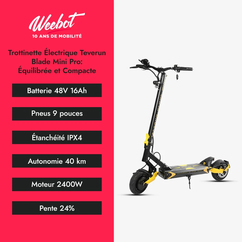 Trottinette Électrique Teverun Blade Mini Pro