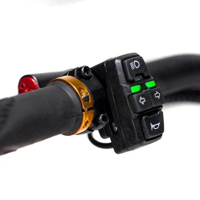 Trottinette Électrique Kaabo Wolf King Gt Pro +